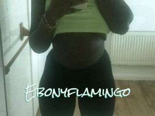 Ebony_flamingo