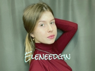 Eleneedgin