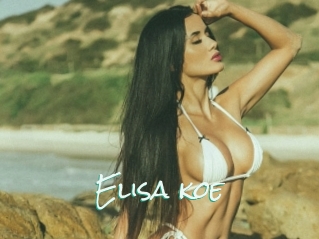 Elisa_koe