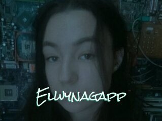 Elwynagapp