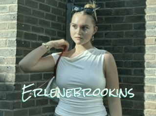 Erlenebrookins