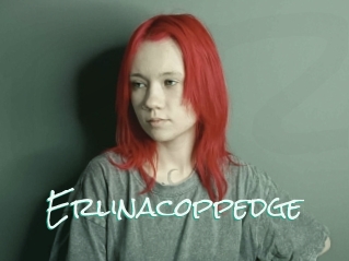 Erlinacoppedge