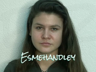Esmehandley