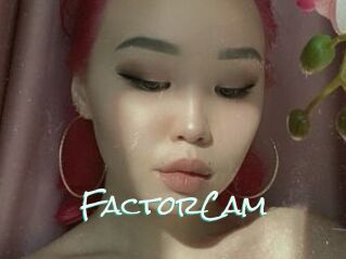 FactorCam