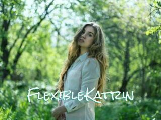 FlexibleKatrin