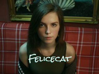 Felicecat