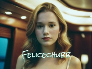Felicechubb
