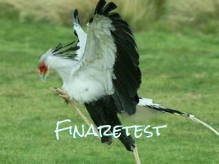 Finaretest