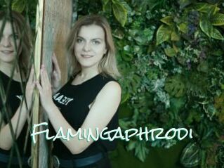 Flamingaphrodi