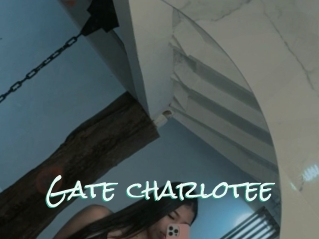 Gate_charlotee