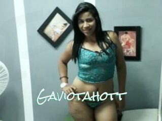 Gaviotahott