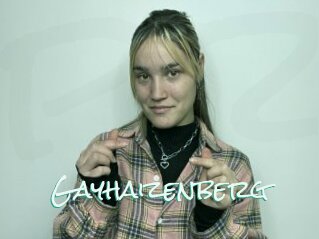 Gayhaizenberg