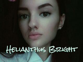 Helianthus_Bright
