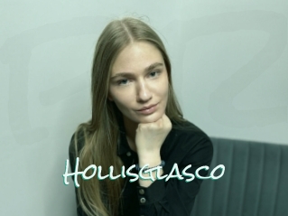Hollisglasco