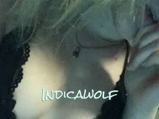 Indicawolf