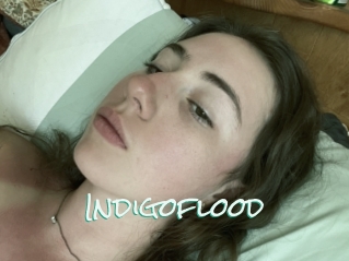Indigoflood