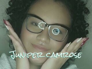 Juniper_camrose