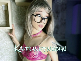 Kaitlinpenguin
