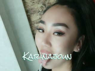 Karinajoun