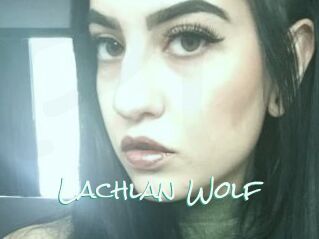 Lachlan_Wolf