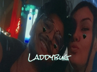 Laddybug