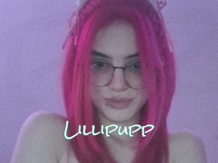Lillipupp