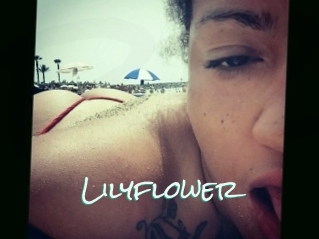 Lilyflower