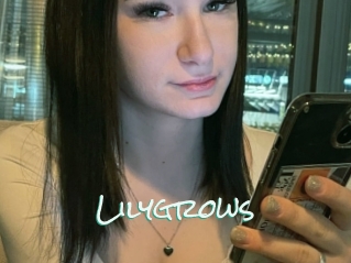 Lilygrows