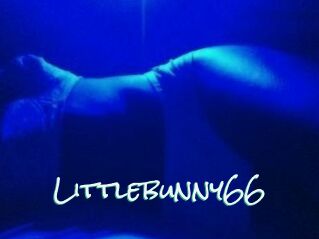 Littlebunny66