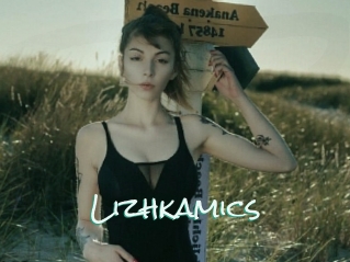 Lizhkamics