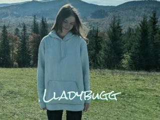 Lladybugg