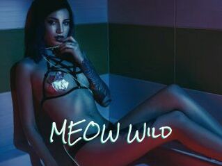 MEOW_Wild
