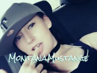 MontanaMustange