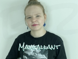 Maygallant