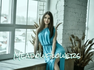 Meadowflowers