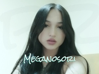 Meganosori