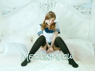 Merlinmeow