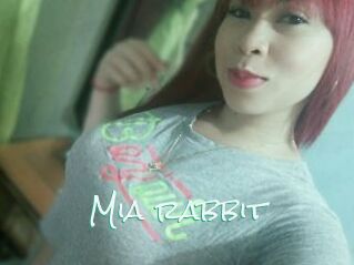 Mia_rabbit