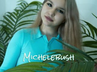 Michelebush