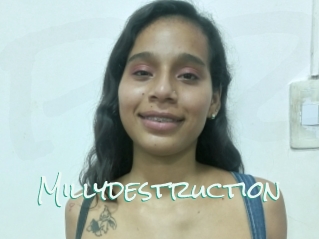 Millydestruction