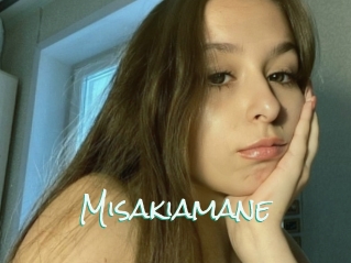 Misakiamane