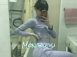 Monibleisi