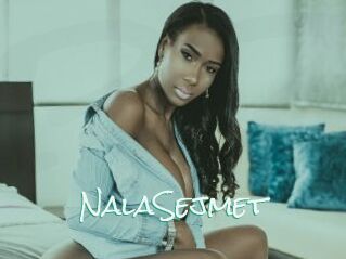 NalaSejmet