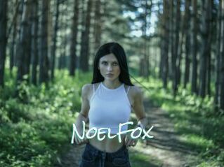 NoelFox
