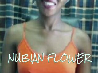 _NUBIAN_FLOWER_