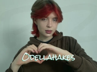 Odellahakes