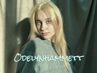 Odelynhammett