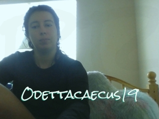 Odettacaecus19