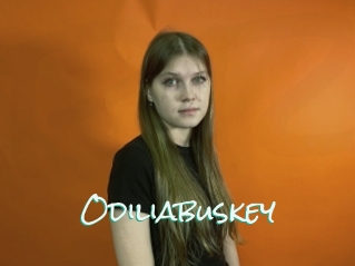Odiliabuskey