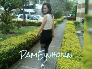 PamEinhorn